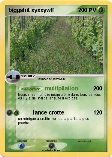 Pokemon biggshit xyxxywtf