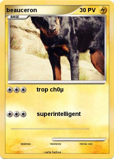 Pokemon beauceron