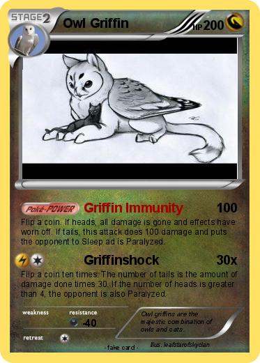 Pokemon Owl Griffin
