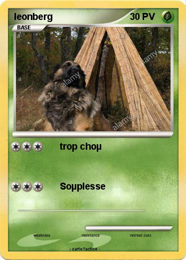Pokemon leonberg