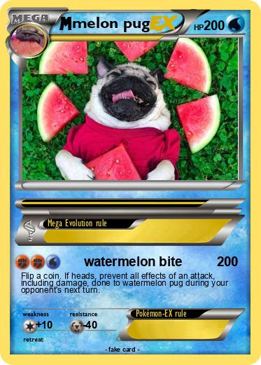 Pokemon melon pug