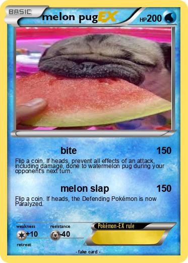 Pokemon melon pug