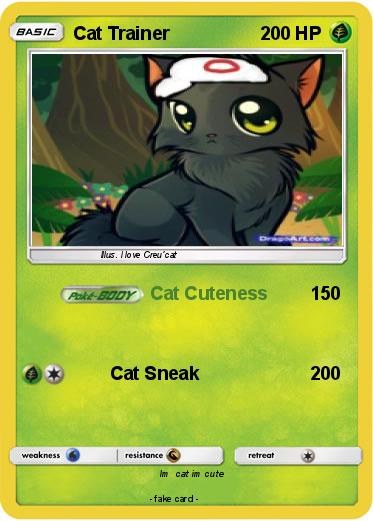Pokemon Cat Trainer