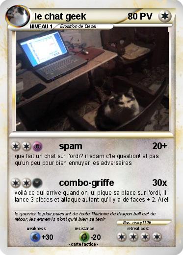 Pokemon le chat geek