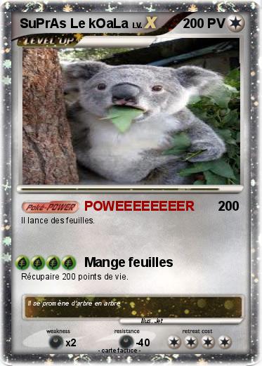 Pokemon SuPrAs Le kOaLa