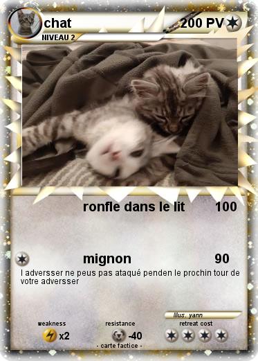 Pokemon chat