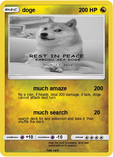 Pokemon doge