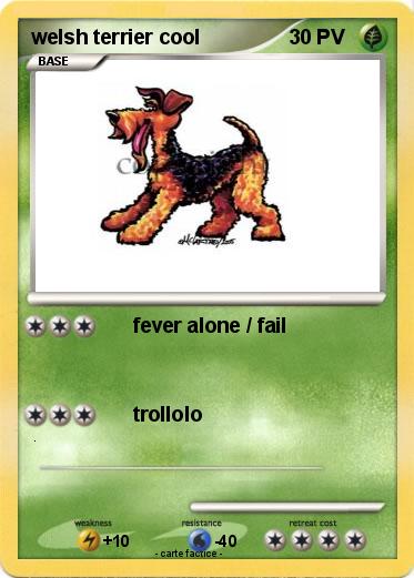 Pokemon welsh terrier cool