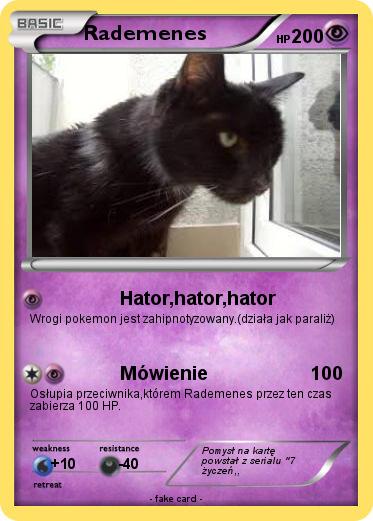 Pokemon Rademenes