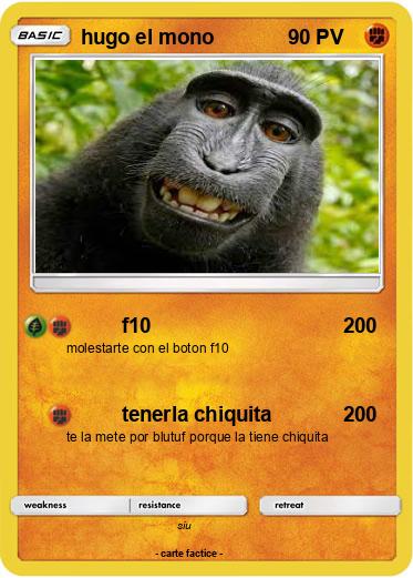 Pokemon hugo el mono
