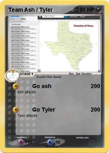 Pokemon Team Ash / Tyler