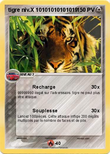 Pokemon tigre niv.X 10101010101019