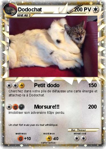 Pokemon Dodochat