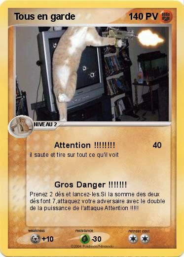 Pokemon Tous en garde