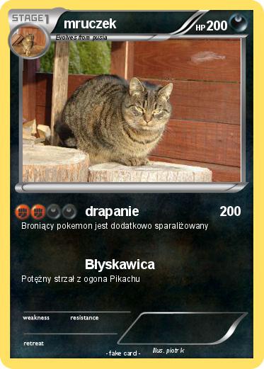 Pokemon mruczek