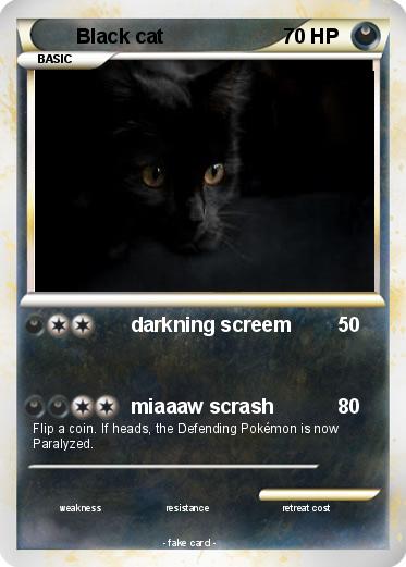 Pokemon Black cat