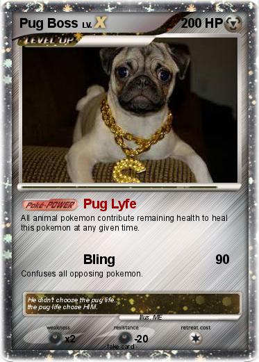 Pokemon Pug Boss