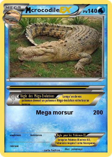 Pokemon crocodile