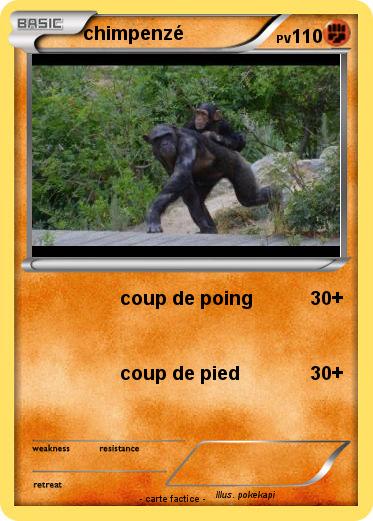 Pokemon chimpenzé
