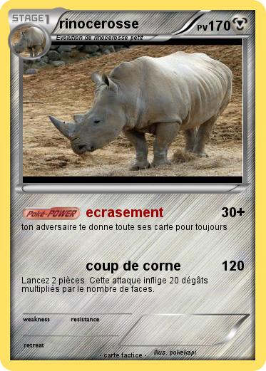 Pokemon rinocerosse
