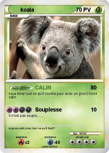 Pokemon koala