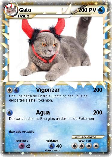 Pokemon Gato