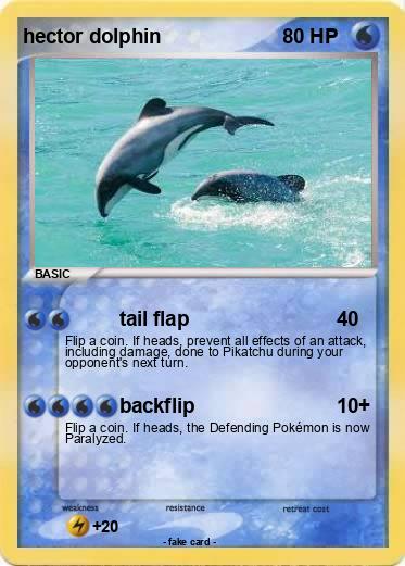 Pokemon hector dolphin