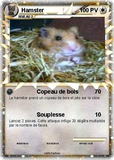 Pokemon Hamster