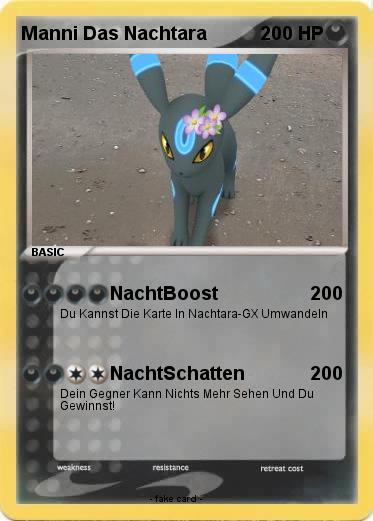 Pokemon Manni Das Nachtara