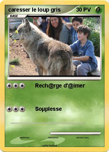 Pokemon caresser le loup gris