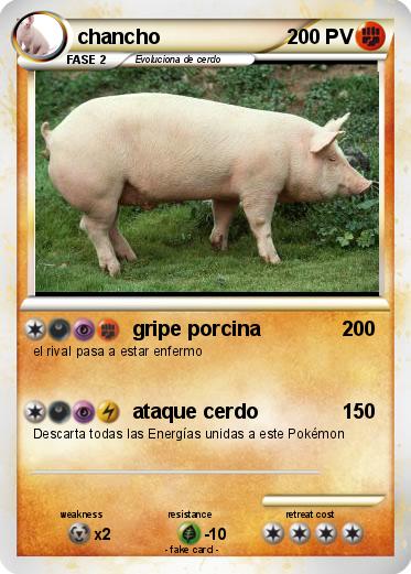 Pokemon chancho