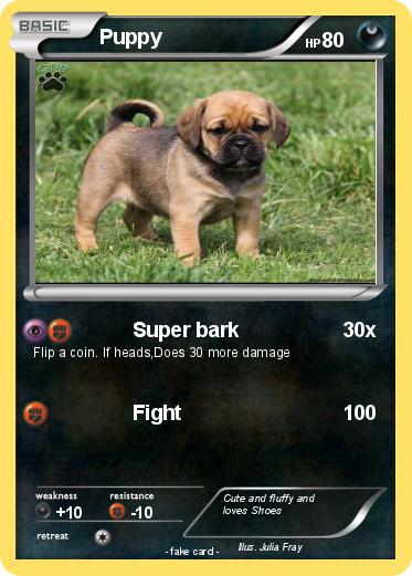 Pokemon Puppy