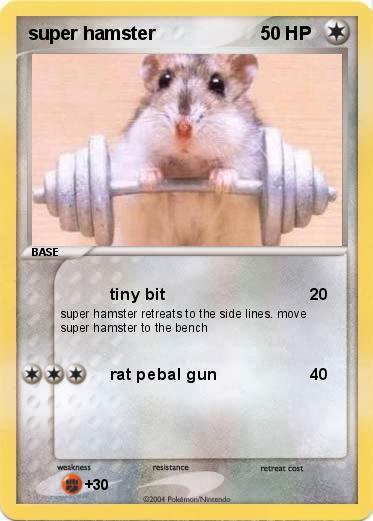 Pokemon super hamster