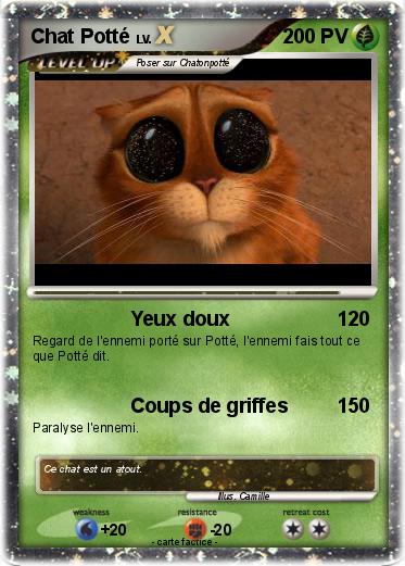 Pokemon Chat Potté