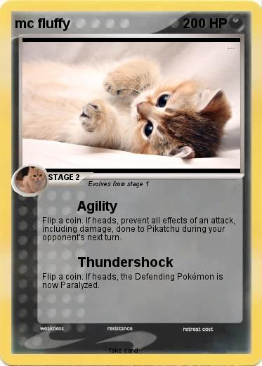 Pokemon mc fluffy