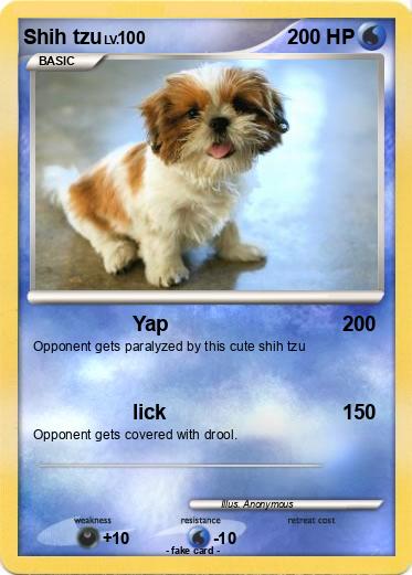Pokemon Shih tzu