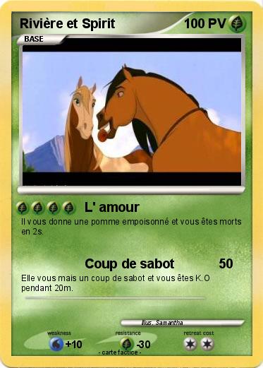 Pokemon Rivière et Spirit