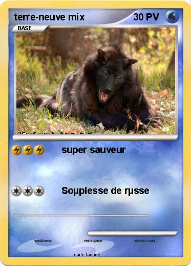 Pokemon terre-neuve mix