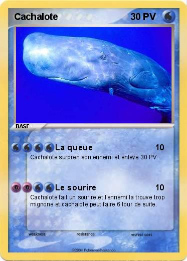 Pokemon Cachalote