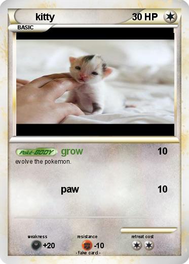 Pokemon kitty
