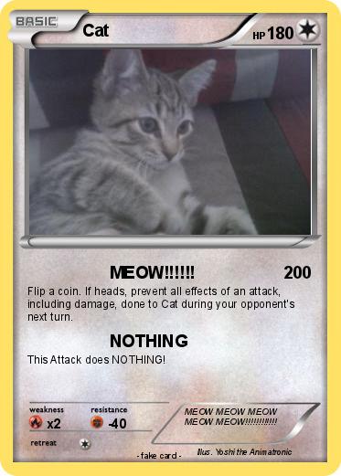Pokemon Cat