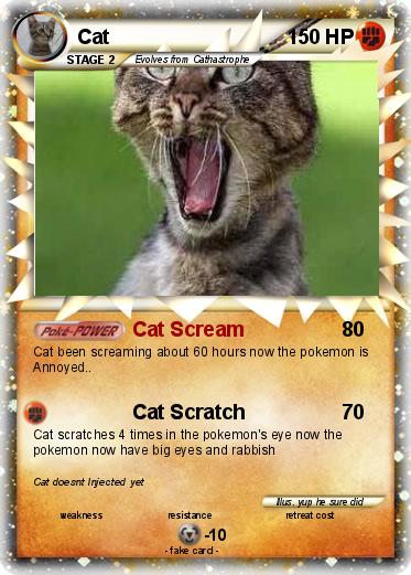 Pokemon Cat