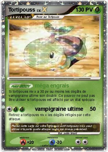 Pokemon Tortipouss