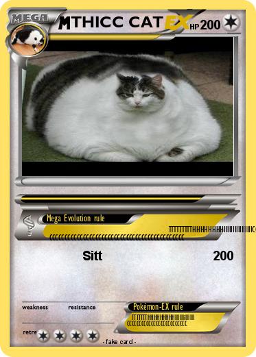 Pokemon THICC CAT