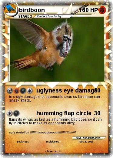Pokemon birdboon
