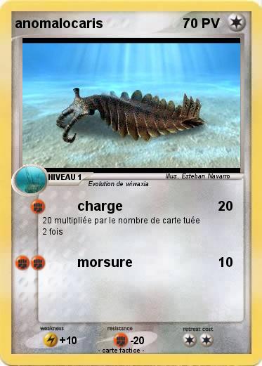 Pokemon anomalocaris