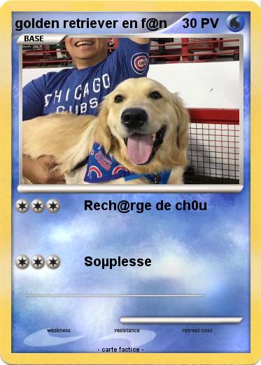 Pokemon golden retriever en f@n