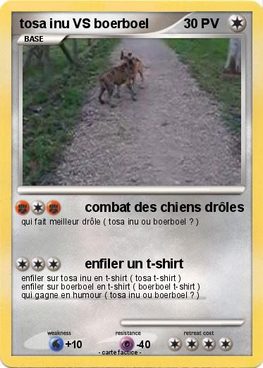 Pokemon tosa inu VS boerboel