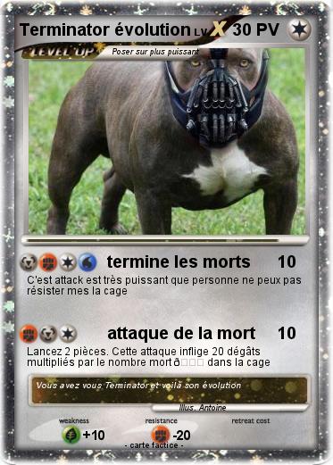 Pokemon Terminator évolution