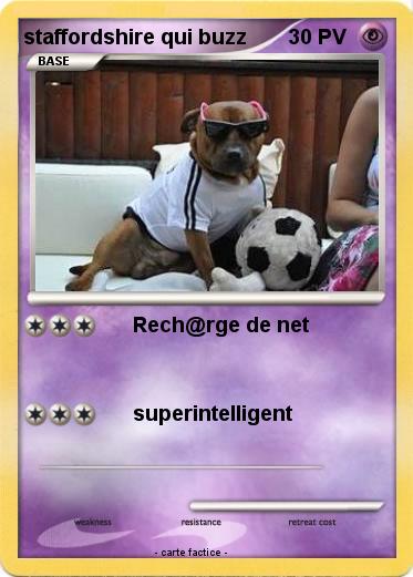 Pokemon staffordshire qui buzz